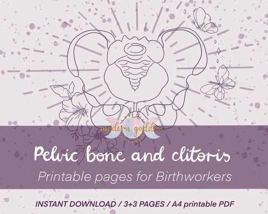 Pelvic bone and Clitoris